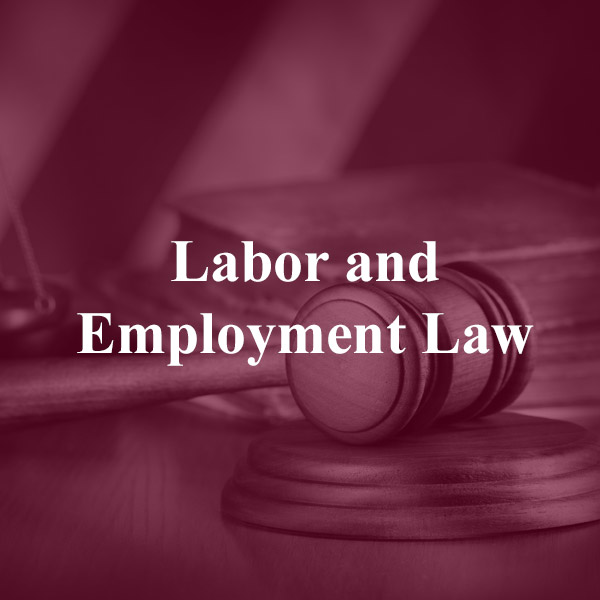 Labor and Employment Law