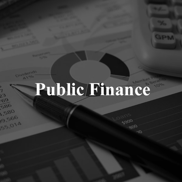 Public Finance